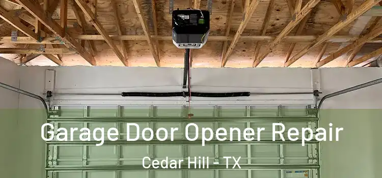  Garage Door Opener Repair Cedar Hill - TX