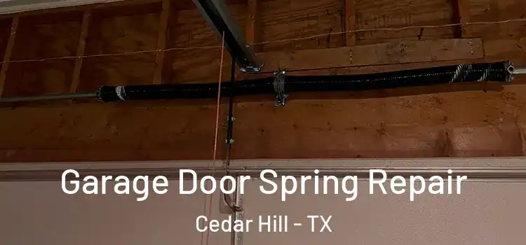  Garage Door Spring Repair Cedar Hill - TX