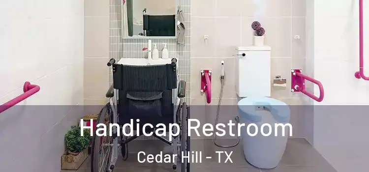 Handicap Restroom Cedar Hill - TX