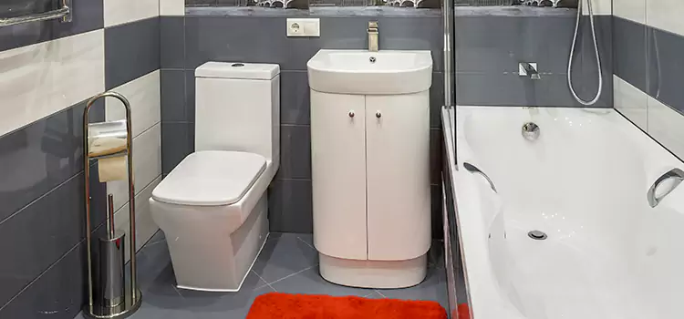 Hansgrohe Shaving Mirror Cedar Hill