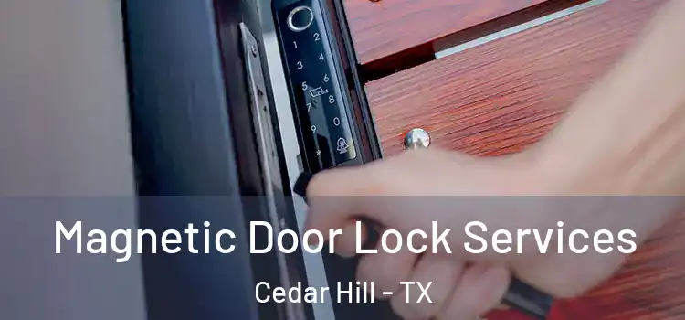 Magnetic Door Lock Services Cedar Hill - TX